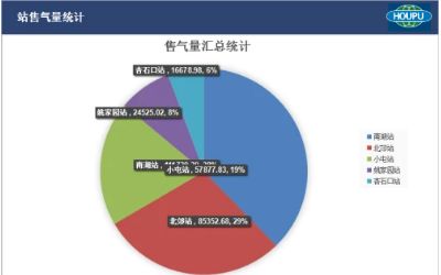 北京燃气车用气销售管理系统项目