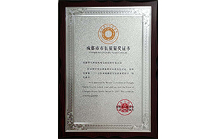 05-61-成都市市长质量奖证书